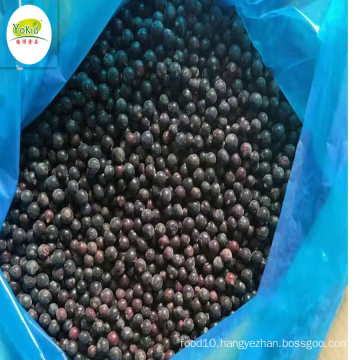Bulk wholesale distrite supplier IQF Frozen blackcurrant